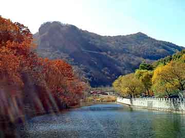 天天彩好彩天天免费，山东秸秆煤